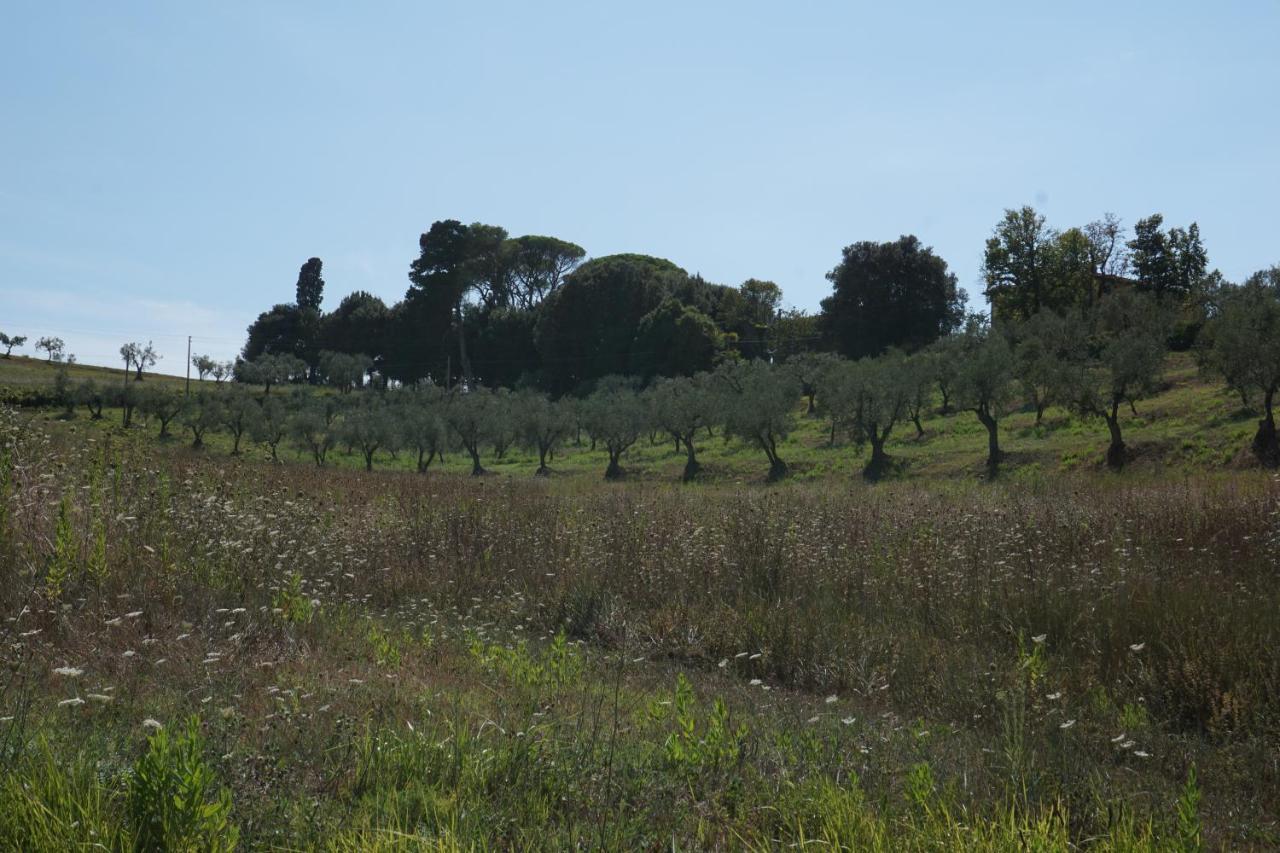 Agriturismo Cheloni Guasticce Exterior photo